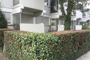 Moderne 2-Zimmer-Wohnung in Neuhausen mit Balkon  – Gudrunstraße 18, 80634 Neuhausen, München – Vorschaubild 9