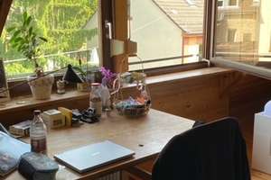 Tatsächlich gepflegtes tw. vermietetes Mehrfamilienhaus zu verkaufen ! – Die vollständige Adresse der Immobilie erhältst du vom Anbieter., 60124 Kirchheim, Heidelberg – Vorschaubild 15