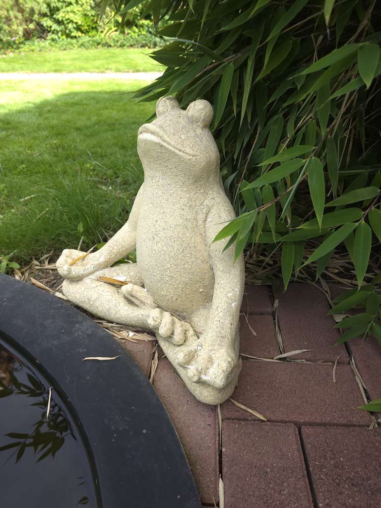 Immobilie in Mörlenbach - Großzügiges Anwesen mit paradiesischem Garten, Pool, Sommerküche, Hochleistungs-Photovoltaik Anlage! - Bild 3