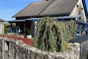 Sommer, Sonne, Pool - Freistehendes EFH mit Urlaubsfeeling im eigenen Garten – Am Kirchberg 5, 79588 Lörrach (Kreis) – Vorschaubild 6