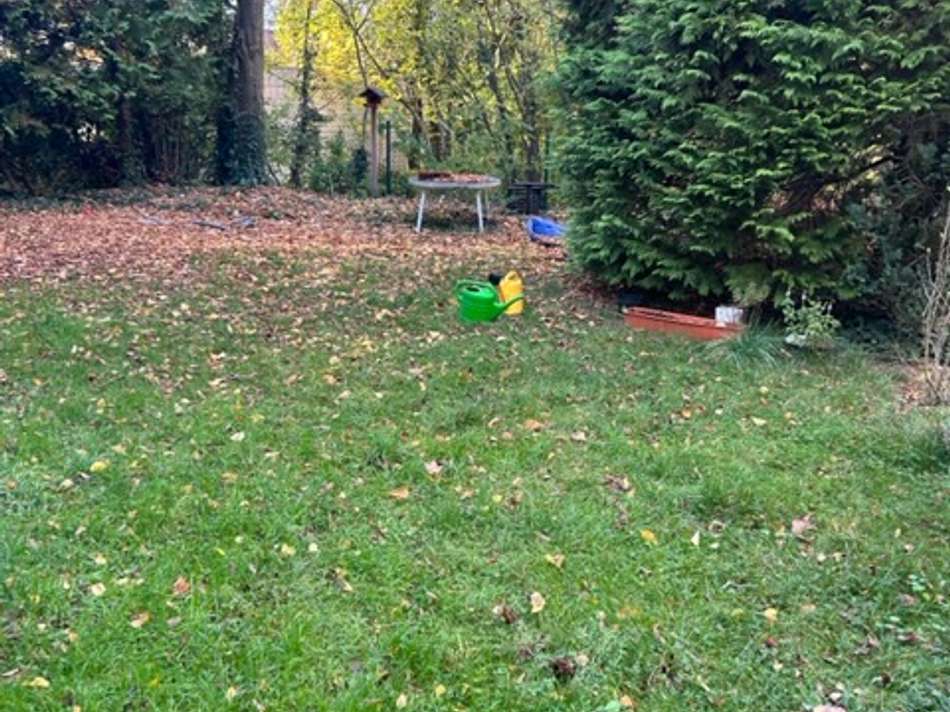 Innenhof Garten