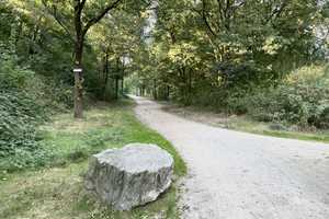 Property thumbnail 40