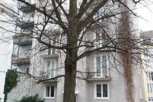 Westend/Theresienhöhe, schön renovierte, ruhige, helle 2-Zi.-Whg. mit EBK, Hochparterre – Parkstraße 9, 80339 Schwanthalerhöhe (Ortsteil), München – Vorschaubild 3