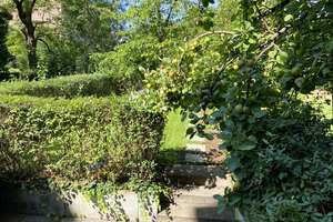 1,5 Zi.-Wohnung mit Küche, Garten und Stellplatz in Bestlage von Neuenheim – Die vollständige Adresse der Immobilie erhältst du vom Anbieter., 69120 Neuenheim, Heidelberg – Vorschaubild 13