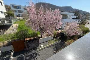 Modernes Bauhaus in unverbaubarer Aussichtslage in Pfullingen – Energieeffizienzklasse A – Reutlingen (Kreis) – Vorschaubild 33