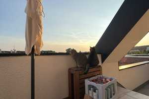 Lichtdurchflutete 3-Zimmer-DG-Wohnung mit großer Dachterrasse, Aufzug und hochwertiger Einbauküche – Nelkenstraße 24, 42283 Wuppertal – Vorschaubild 25