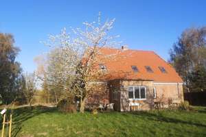 Raum für Träume – modernisiertes Wohnhaus mit Tierhaltung und Bauoption – Die vollständige Adresse der Immobilie erhältst du vom Anbieter., 23758 Oldenburg in Holstein – Vorschaubild 4