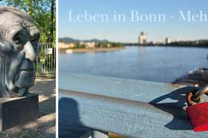 Atemberaubender Rheinblick inklusive! – Rüdigerstraße 72-74, 53179 Mehlem, Bonn – Vorschaubild 1