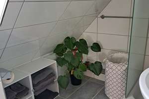 Single Appartement für Studentin (Anfangssem.) oder Doktorandin – Erzberger Str. 27, 33102 Kernstadt, Paderborn – Vorschaubild 16