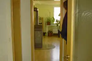 Stilvolles 3 Familienhaus mit Baugrundstück in ruhiger Dorfrandlage – Ravensburg (Kreis) – Vorschaubild 11