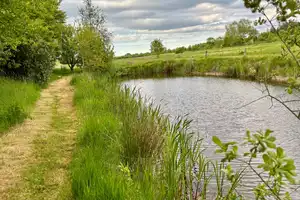 Resthof mit Einliegerwohnung und ca. einem ha Land im idyllischen Büttjebüll – Nordfriesland (Kreis) – Vorschaubild 16