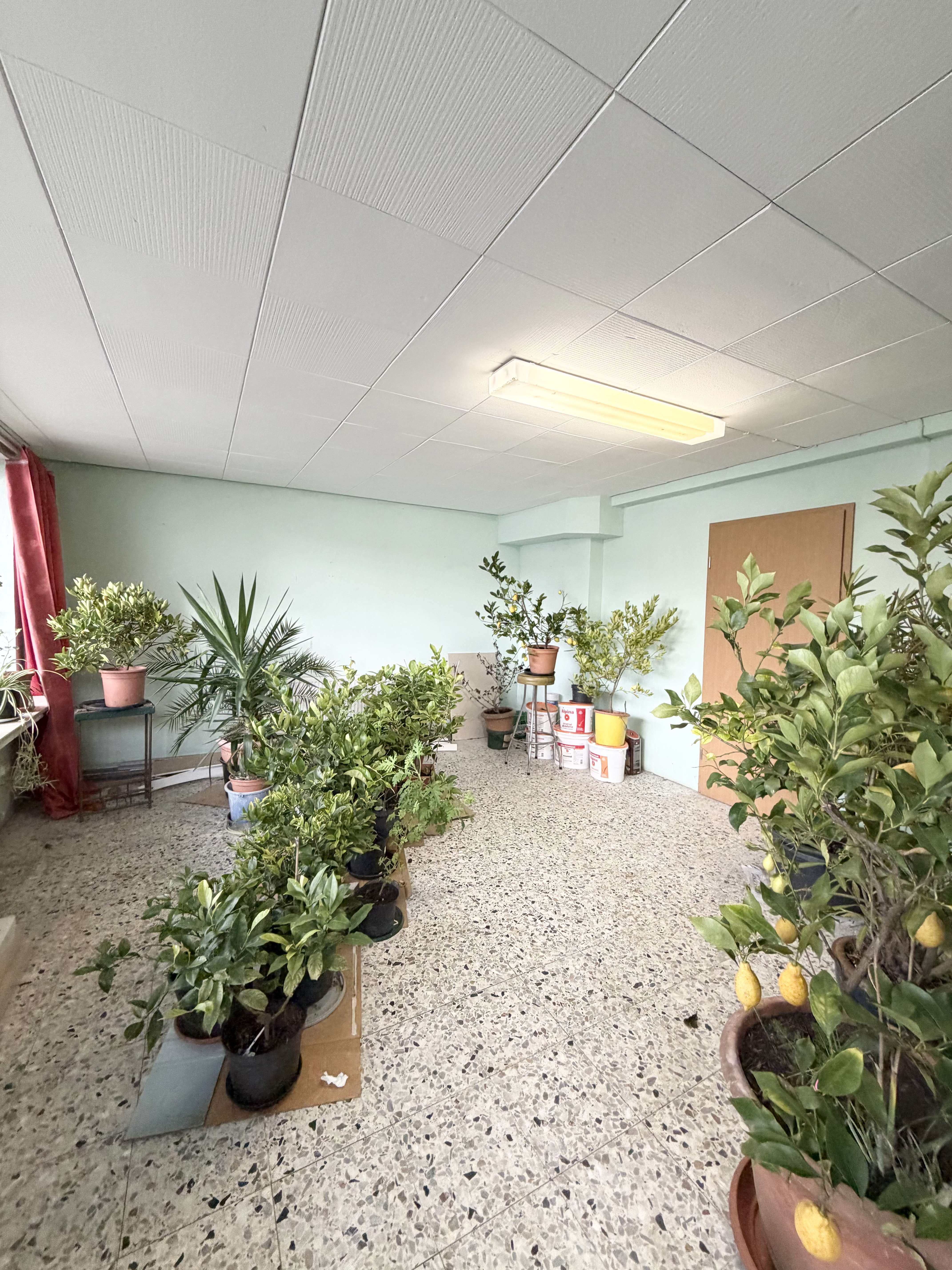 Immobilie in Coppenbrügge - Leerstehendes saniertes 3-Familienhaus + Gewerbeeinheit! Über 10% Rendite p. a. möglich - Bild 5