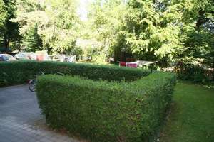 Property thumbnail 12