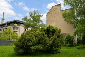 Bezugsfrei und Saniert| Bezugsfreie 2 Zimmer Wohnung mit 74 m² und zwei Balkonen – Die vollständige Adresse der Immobilie erhältst du vom Anbieter., 13409 Reinickendorf (Ortsteil), Berlin – Vorschaubild 14