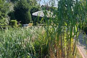 +KOPER GEVONDEN+Paradijs op dromerige 2267m² oppervlakte direct aan de NL grens! – Emsland (Kreis) – Vorschaubild 46