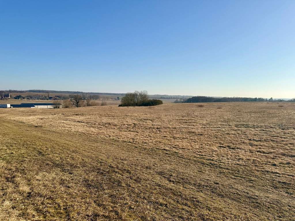 Immobilie in Datzetal - HORN IMMOBILIEN++ 15 km bis Neubrandenburg, schöne Doppelhaushälfte mit großen Grundstück & 2 Garage - Bild 3