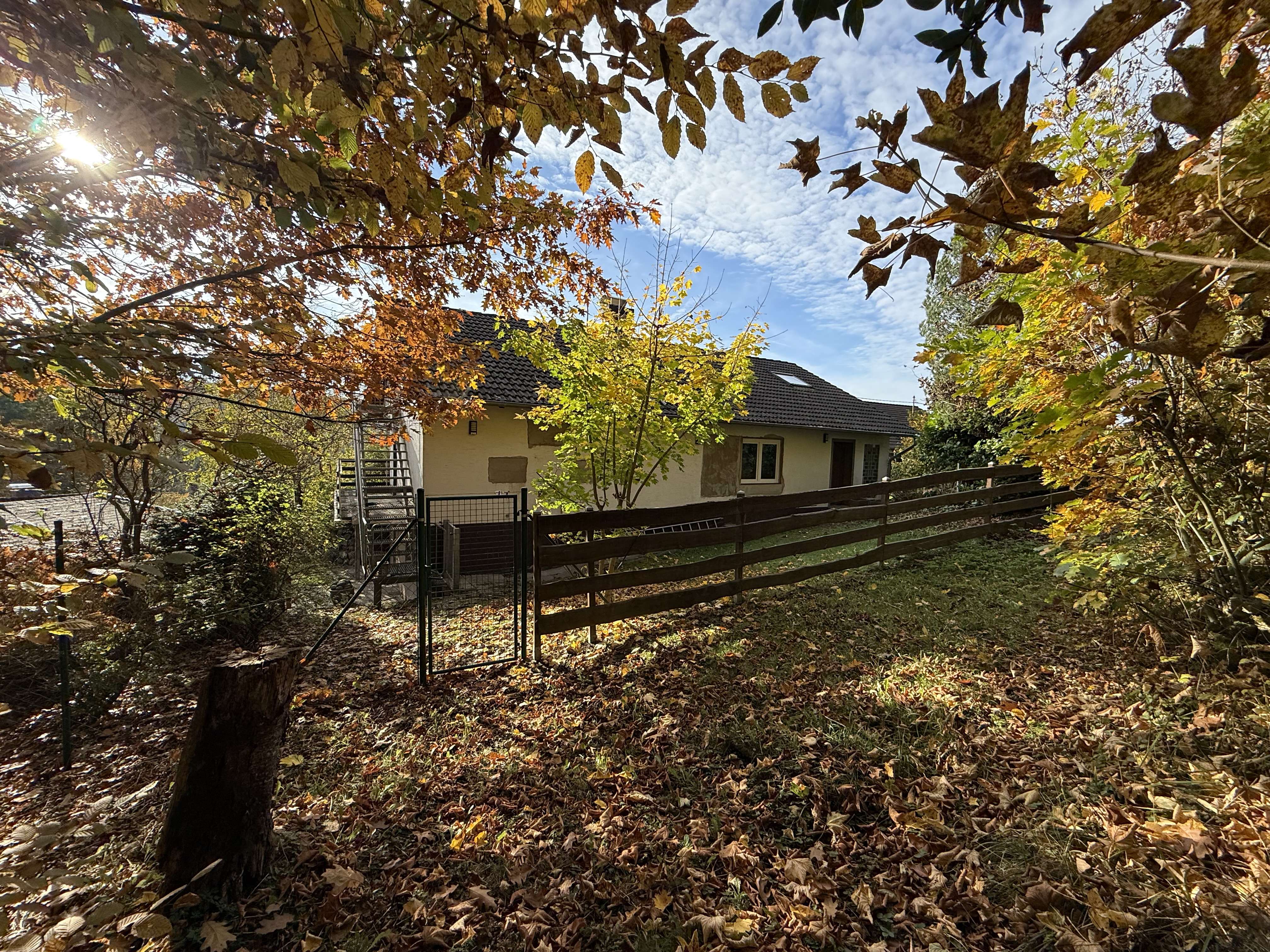 EFH in TOLLER LAGE mit eigenem Waldzugang – teilsaniert, Altenkirchen Westerwald Kreis – Bild 4