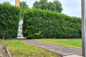 !Wohnen und Arbeiten verbinden!
Großzügige repräsentative Villa m – Die vollständige Adresse der Immobilie erhältst du vom Anbieter., 39418 Staßfurt – Vorschaubild 4