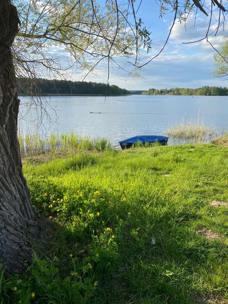 Immobilie in Havelsee - Sehnsuchtsort - Ihr Traum: Ein Haus am See - Bild 0