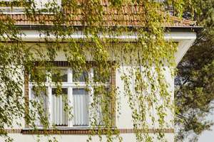 Property thumbnail 25