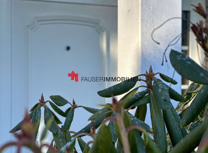 Real Estate Title Image Background