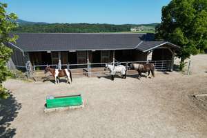Gepflegtes Reiteranwesen mit schönem Wohnhaus und ca. 5,4 Hektar Grund in toller Lage – Die vollständige Adresse der Immobilie erhältst du vom Anbieter., 94491 Hengersberg – Vorschaubild 37
