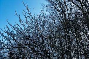 Charmantes Schwedenhaus inklusive Waldblick