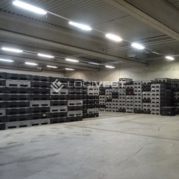 LAGER HALLEN | 1.500 m² + 3.800 m² / 7,50m UKB