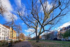 Property thumbnail 22