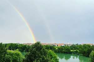3,5-Zimmer-Wohnung mit traumhaftem Seeblick am Vogelstangsee – 89 m² - frei zum 01.01 – Wittenberger Weg 2, 68309 Vogelstang, Mannheim – Vorschaubild 1