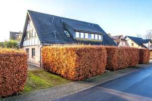 Ein- bzw. Zweifamilienhaus mit schönem Gartengrundstück – Ammerland (Kreis) – Vorschaubild 1