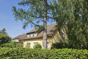 Modernisieren oder neu Bauen! VERKAUF GEGEN GEBOT! Freigestelltes 2FamHaus Kohlheck! – Zugspitzstraße 49, 65199 Dotzheim, Wiesbaden – Vorschaubild 5