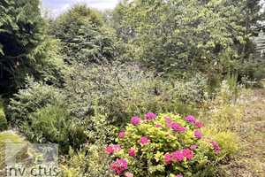 Märchenhaft wohnen – Ihr Naturparadies in Bullau – Odenwaldkreis – Vorschaubild 52