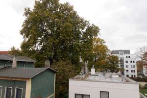 Großzügige 2-Raum-Wohnung - bald mit Balkon - auf dem Werder – Gartenstr. 11, 39114 Werder, Magdeburg – Vorschaubild 5