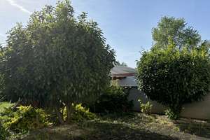 MA - SANDHOFEN // Attraktives Dreifamilienhaus mit großem Garten, Garage und Entwicklungspotenzial – Die vollständige Adresse der Immobilie erhältst du vom Anbieter., 68307 Sandhofen, Mannheim – Vorschaubild 3
