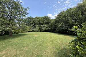 So sehen Träume aus! Imposante Villa auf  9.775 m² parkähnlichem Grundstück und eigenem Wald. – Amtsdamm 65, 27628 Hagen im Bremischen – Vorschaubild 23
