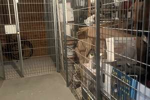 ~ Juwel im Barockviertel/Königstraße  ~ charmante Wohnung ~ ruhig, im Garten! ~ 1.OG ~ 2 Balkone!  ~ – Die vollständige Adresse der Immobilie erhältst du vom Anbieter., 1097 Innere Neustadt, Dresden – Vorschaubild 19