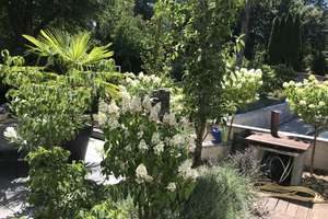 Villa mit ELW auf mediterranem Grundstück – Die vollständige Adresse der Immobilie erhältst du vom Anbieter., 81827 Waldtrudering, München – Vorschaubild 16