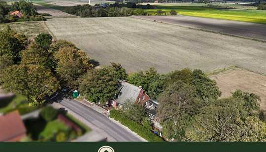 Bild von Zwischen Deich und Weite - Kauf gegen Höchstgebot