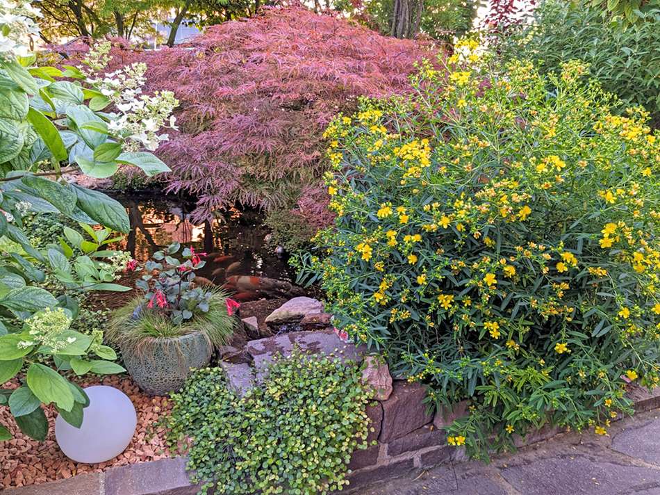 Garten1