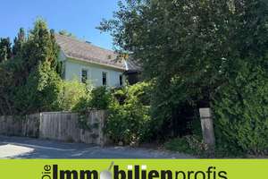 Älteres Bauernhaus mit Scheune am Fuße des Kornbergs – 95126 Schwarzenbach an der Saale – Vorschaubild 1