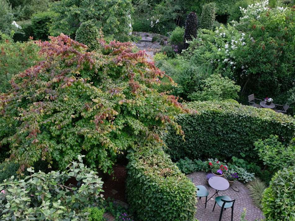 Blick auf Wohnhaus-Garten und 