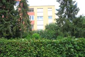 Klein, fein und sofort bezugsbereit – Die vollständige Adresse der Immobilie erhältst du vom Anbieter., 38444 Westhagen, Wolfsburg – Vorschaubild 3