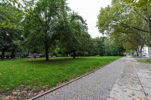 Property thumbnail 8