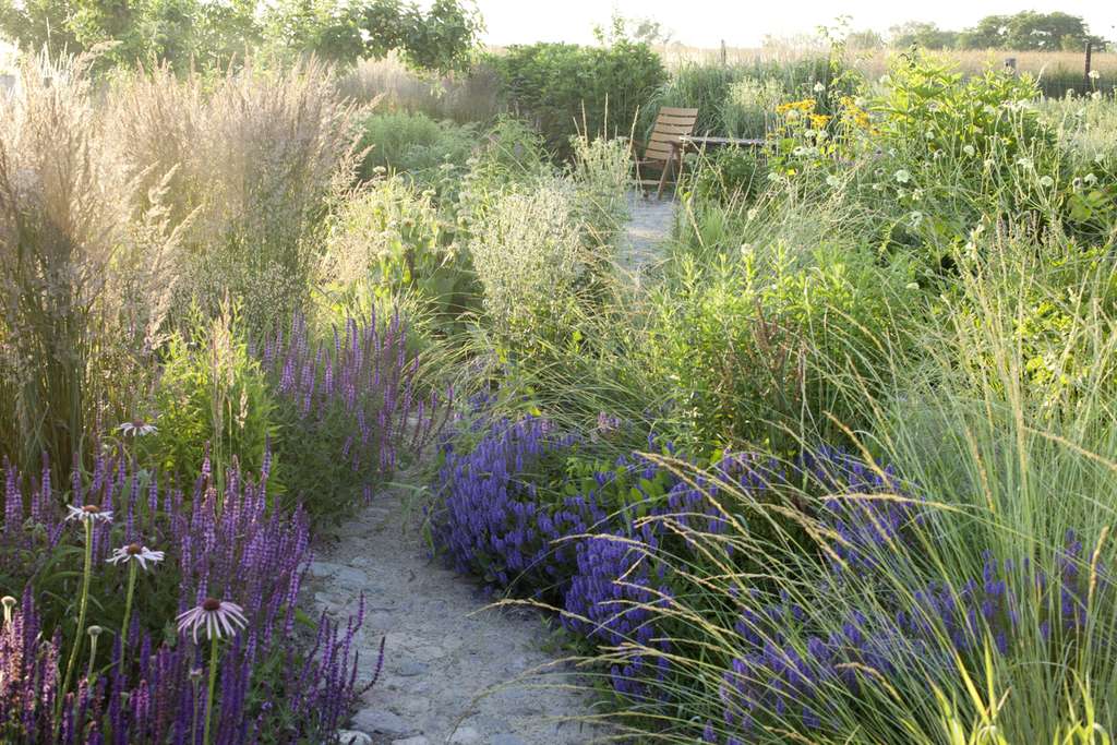 Immobilie in Gerswalde - Landhaushälfte in idyllischer Lage mit großem Ausbaupotential und Planung von Thomas Kröger - Bild 3