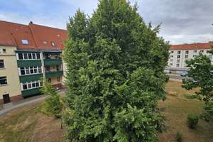 Alltagstaugliche 2-Zimmer-Wohnung in Leipzig Engelsdorf – Klingerstraße 5, 4319 Engelsdorf, Leipzig – Vorschaubild 12