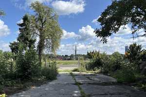 Ehemaliger Obsthof in Plessow – An der B1 13, 14542 Potsdam-Mittelmark (Kreis) – Vorschaubild 47