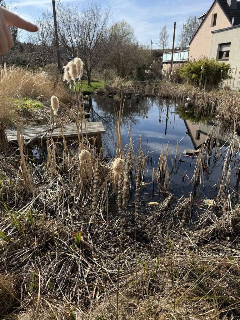 Immobilie in Bobritzsch-Hilbersdorf - Einfamilienhaus in Hilbersdorf zu verkaufen - Bild 1