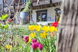 Großzügiges Einfamilienhaus in ruhiger Ortsrandlage mit unverbautem Blick – Die vollständige Adresse der Immobilie erhältst du vom Anbieter., 88271 Wilhelmsdorf – Vorschaubild 6
