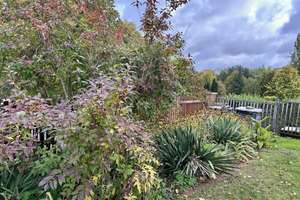 Ruhepause mit Wintergarten – Die vollständige Adresse der Immobilie erhältst du vom Anbieter., 3103 Neupetershain – Vorschaubild 11